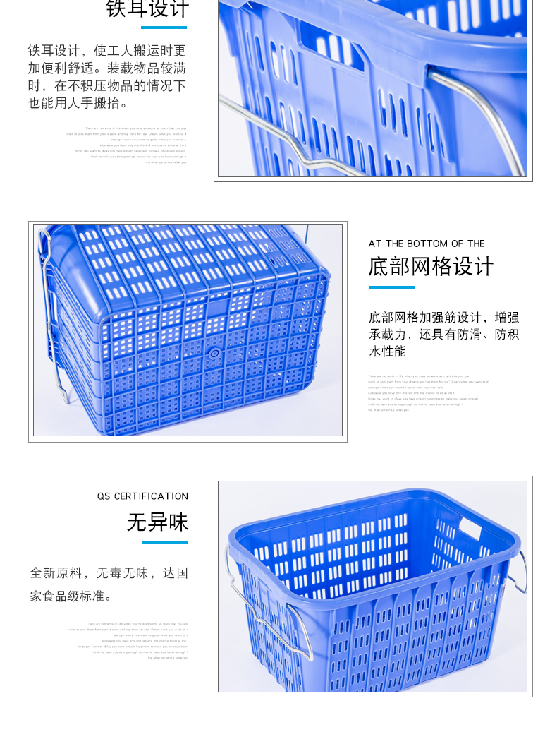 4號周轉蘿詳情3
